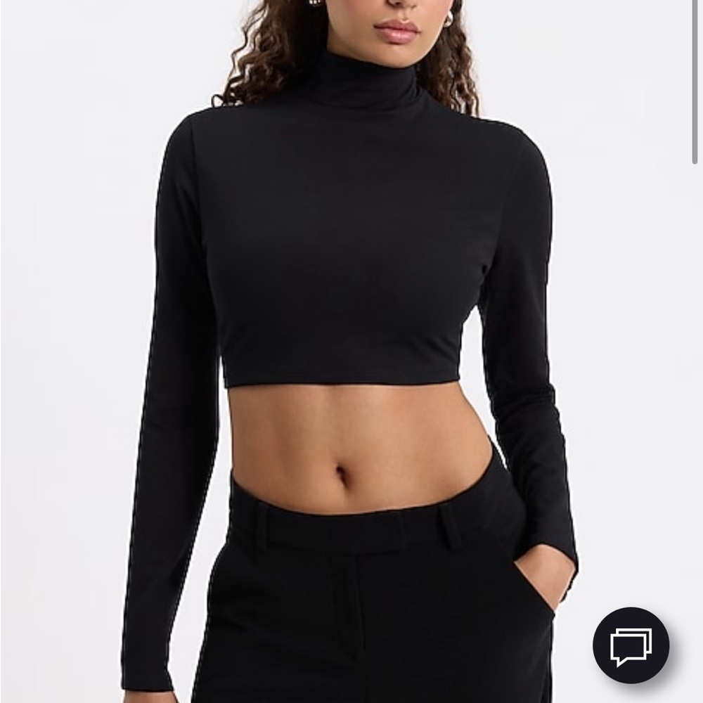Express Black Long-Sleeve Turtleneck Crop Top